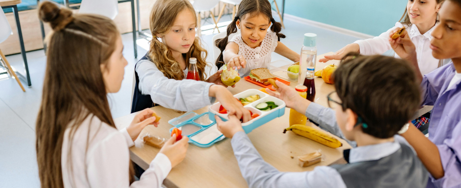High-Protein, High-Fiber School Lunches (No Prep Stress)