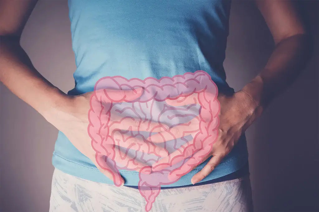 What Happens When You Stop Taking Probiotics?