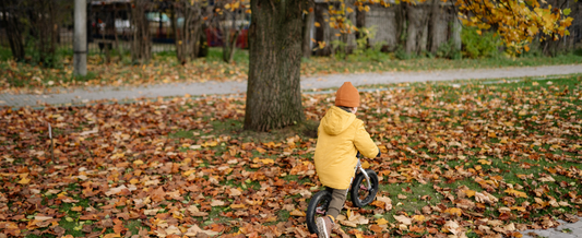 When Fall Gets Too Full: Family Routines Worth Protecting