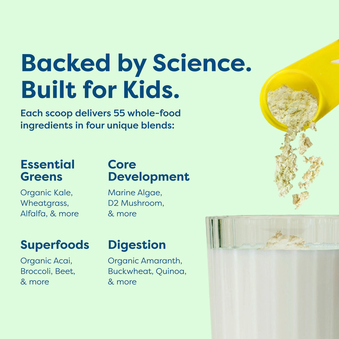 Légumes verts et superaliments quotidiens pour enfants